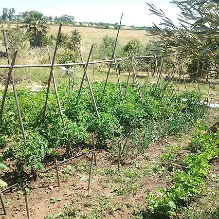 Fattoria S'imbiligu Farma *