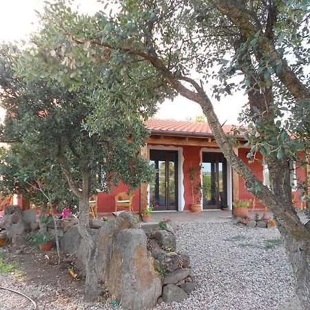 Fattoria S'imbiligu Sennariolo