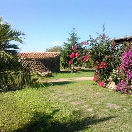 Fattoria S'imbiligu Farma Sennariolo