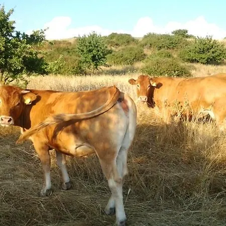 Fattoria S'imbiligu Farma