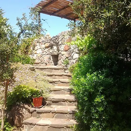 Fattoria S'imbiligu * Sennariolo