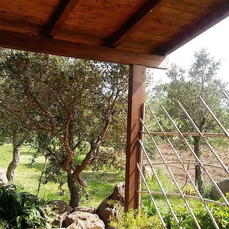 Fattoria S'imbiligu * Sennariolo